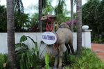 Entrance of b&b- a camel welcomes you!