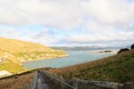 信天翁的培育中心在山上的~可俯瞰埋Otago半島~