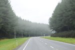 短短逗留後再向Rotorua進發, 途中經過一條馬路, 兩旁的樹好高, 加點煙霞, 好舒服的馬路!!