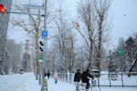 札幌的街頭雪景~好靚~