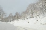 白色的雪路~