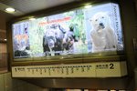 搭地鐵東豊線到榮町站-中途經過動物園的廣告牌呢