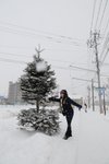 haha-kaki & snow tree