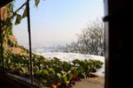 0442_DSC_4954