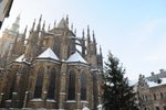 0446_DSC_4958
