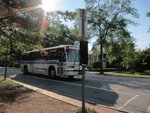 UNC Campus好大, 行了visitor guide的路線,都只是行了一小部份,行完就搭bus回酒店附近~在chapel hills好多bus都是free的