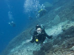 在27m更深的海底等了良久-都係見唔到Mola Mola呀!!