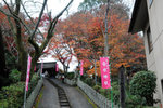 之前上網CHECK吉水神社都有紅葉~不過入去視察過~都是算吧~