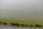 Cuillin Hill~a famous moutain on Skye~but it hide away under rain! >_