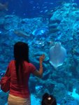 IMG_0837