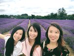 22/7 Finally can visit this awesome Lavender Farm!!