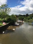 7/8 swans again @ Wareham