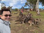 Tasmania - 53