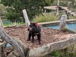 Tasmania - 65