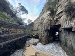 Tasmania - 85
