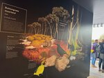 Tasmania - 146