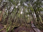 Tasmania - 173
