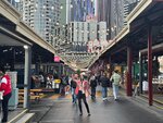 Tasmania - 303