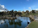 Tasmania - 322