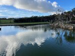 Tasmania - 323