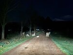 Tasmania - 364