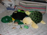 04-08-27我的龜龜收藏