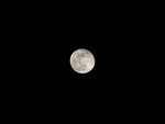 IMG_0903