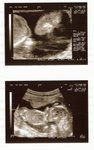 16 Weeks
(27-Jun-05)