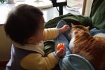 DSCF1116