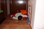 DSCF1207