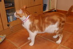7 May 08 - 14 磅 (DSCF5424)