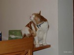 2002_0407_203334
