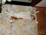 2002_0601_162739