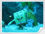 Spongebob's Pineapple Home
