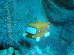 Water Bus