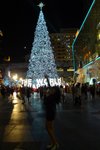 P1150304