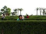 IMG_3585
