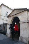 IMG_6708