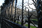 IMG_6776