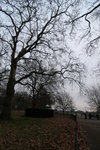 IMG_7100