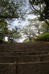 IMG_1906