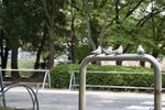 IMG_1915