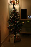 Our first Christmas tree