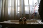 IMG_9620