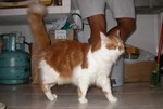 DSCN9595
