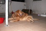 DSCN9602