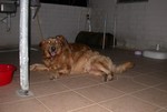 DSCN9603