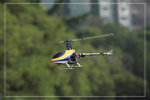 _MG_9114