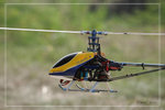 _MG_9117