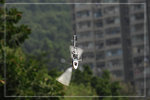 _MG_9449